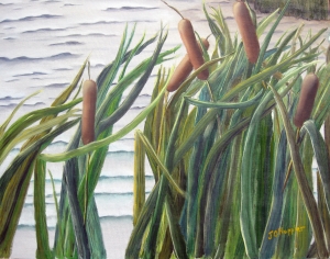 Original 2011 oil painting of cattails near a pond.