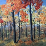 Original 2014 oil painting of vibrantly colored leaves on the trees in a woods.