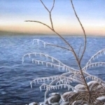 Original 2014 oil painting of icicles that have formed on small branches hanging over the lake in the late fall.