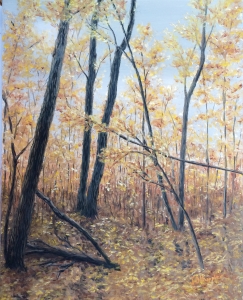 Original 2014 oil painting of vibrantly colored leaves on the trees in a peaceful woods.