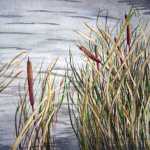 Original 2008 watercolor painting of cattails near the shore of a pond.