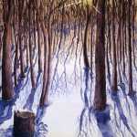 An original 2008 watercolor painting of a woods of bare winter trees at sunset