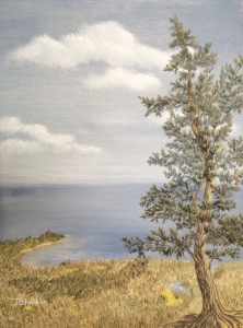 Original 2013 oil painting of a jack pine on a cliff overlooking Lake Superior.