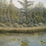 Original 2014 oil painting of a large white pine tree near the shore of a lake with lily pads.