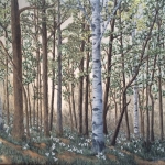 Trillium is a 22”x28” original oil painting on canvas of a central Minnesota woods in spring time with trillium blossoming.