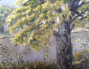 Tree by a River is an 8”x10” original oil painting on canvas of an old tree in the sun near a slow moving river in summer.