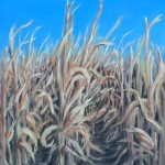 Corn Field Autumn a 12 inch by 9 inch original oil painting on canvas of the edge of a cornfield in bright autumn sunshine.