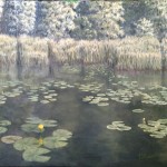 Yellow Water Lillies is a 24 inch by 30 inch original oil painting on canvas of lily pads growing near the shore of a small woodland lake.